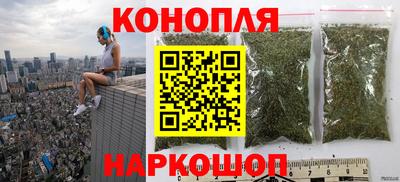 крисы Заводоуковск