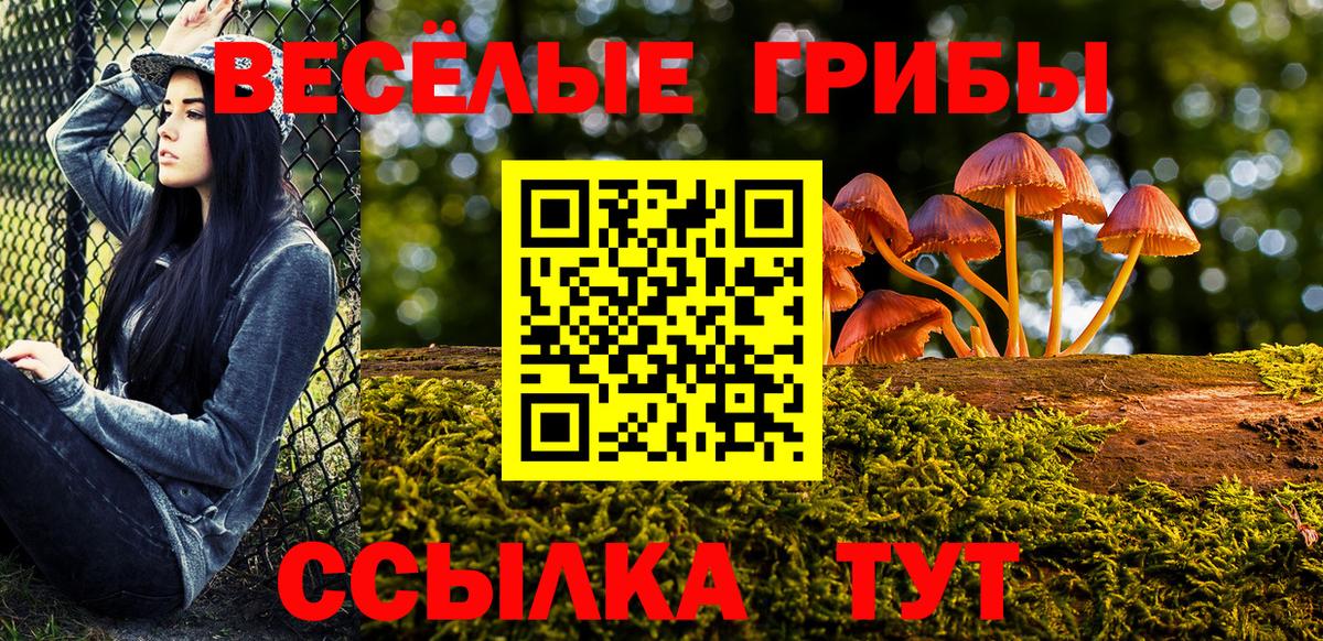 Красный Сулин  Галлюциногенные грибы мухоморы  как найти закладки  Вход с VPN  Галлюциногенные грибы прущие грибы 