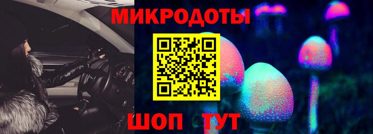 Галлюциногенные грибы прущие грибы Красный Сулин